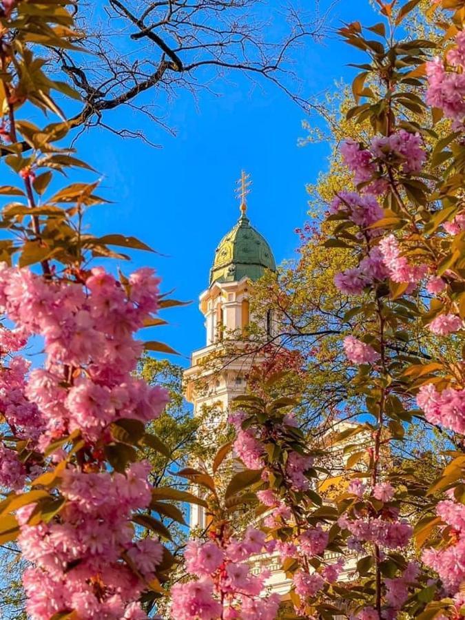 Старовинні Апартаменти У Центрі Міста Uzhhorod Exterior photo